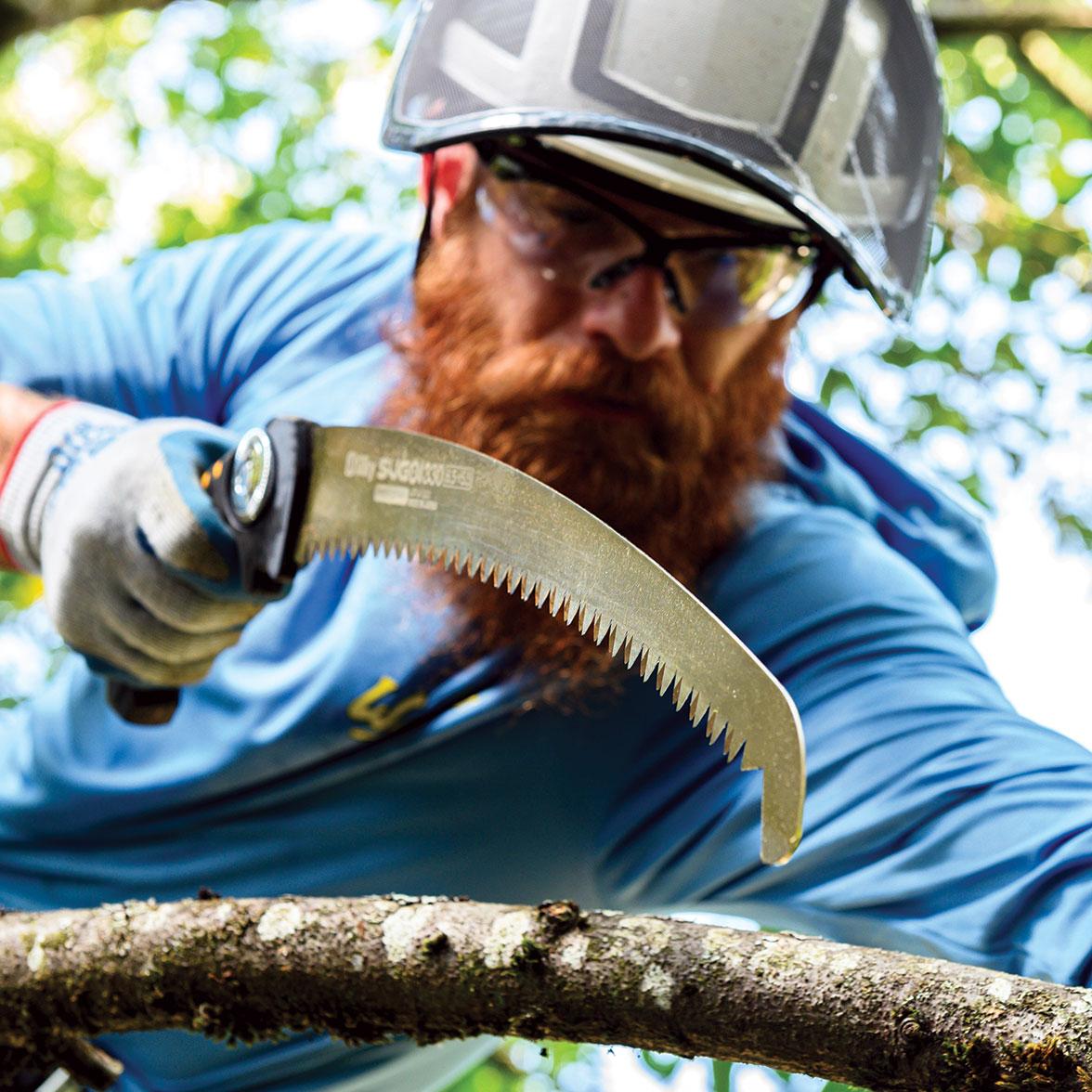 arborist using hand saw for trees