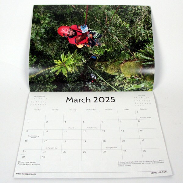 wesspur 2025 calendar shows tree climber on scientific research